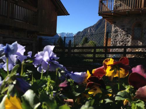 Hotel Albergo Lagorai