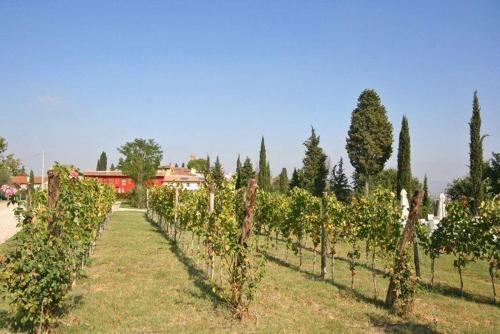 Canneto Apartment Sleeps 10 Pool Air Con Wifi