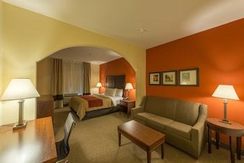 Hotel Comfort Inn & Suites Villa Rica