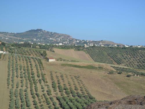 Sun-drenched Estate Close To Sciacca Just 7km From The Beach