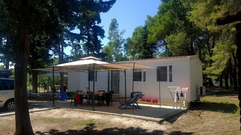 Aurelia Club
