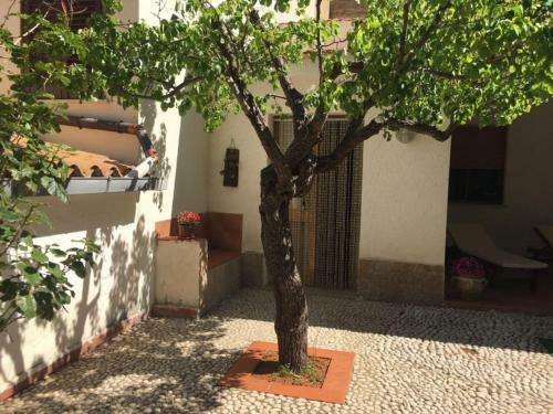 Zahra Casa Vacanze