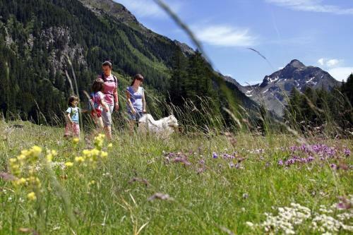 Apartamento Appartamenti Dolomiti Con Wellness
