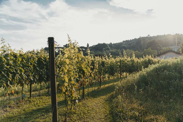 Agroturismo Tenuta Ronco Regio