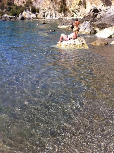 Michelebruno