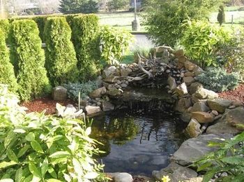 Hotel La Quinta Inn Wilsonville