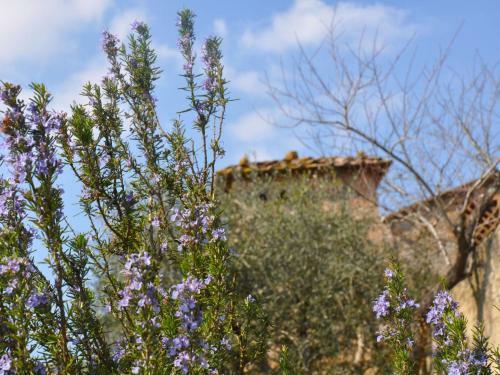 Apartamentos Locazione Turistica Il Ginepro