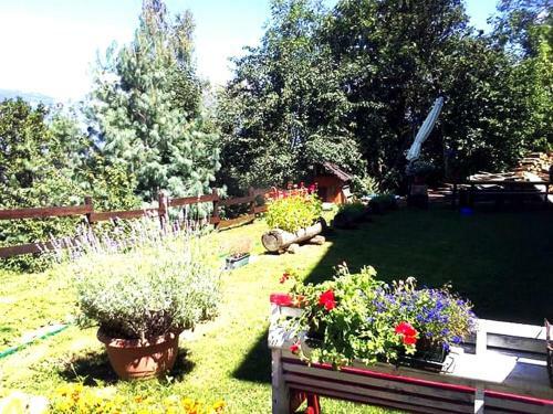 Bondine Apartments In Valle D'aosta