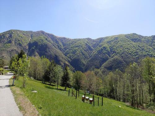 Albergue Ostello Del Parco Di Cicogna