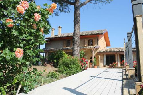 B&B Il Cavallino
