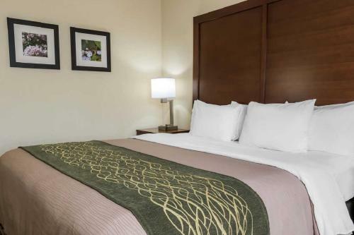 Hotel Comfort Inn - Pocono Mountain
