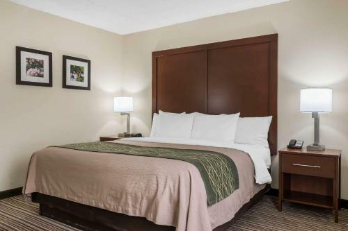 Hotel Comfort Inn - Pocono Mountain