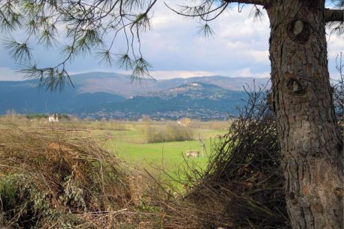 Le Casine-perignano-spinelli Apartment Sleeps 9