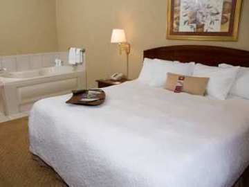 Hotel Hampton Inn Chicopee - Springfield