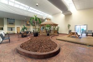 Hotel Ramada Plaza Louisville