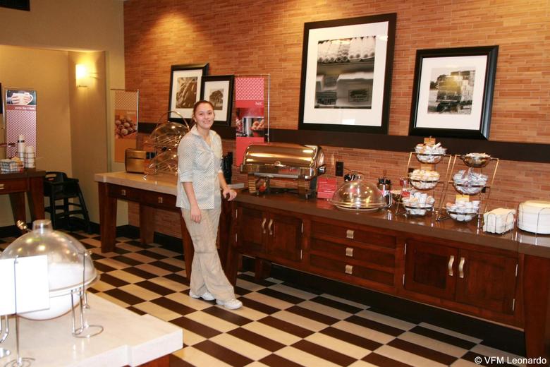 Hotel Hampton Inn & Suites Marshalltown