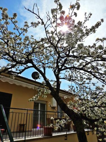 Apartamento Villa Delle Ciliegie
