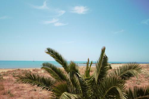 Vacanze Plaja Grande