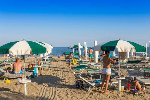 Apartamento Robinia/pinetine Lido Altanea