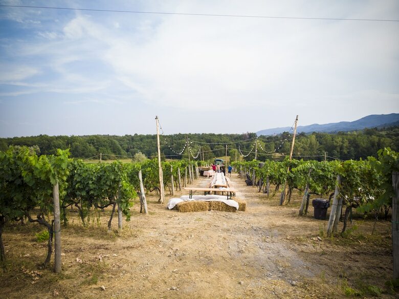Agroturismo Agriturismo Casale Le Corti