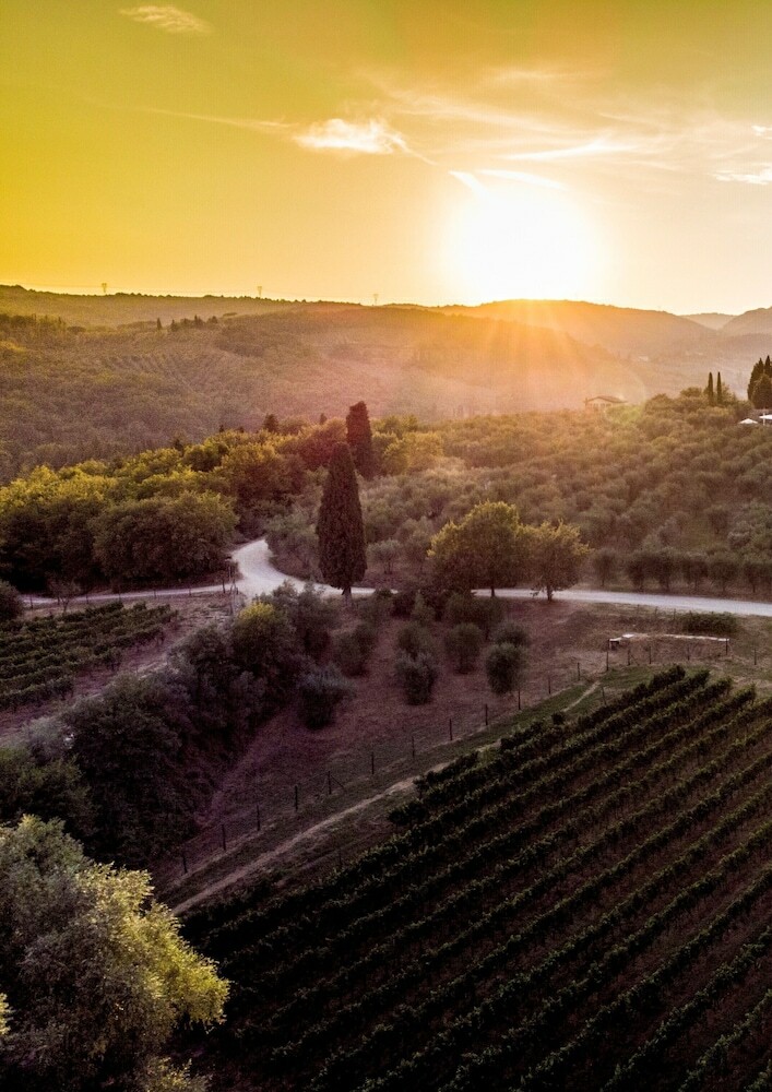 Agroturismo Agriturismo Casale Le Corti