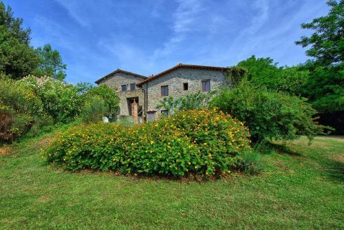 Figline Valdarno Apartment Sleeps 2