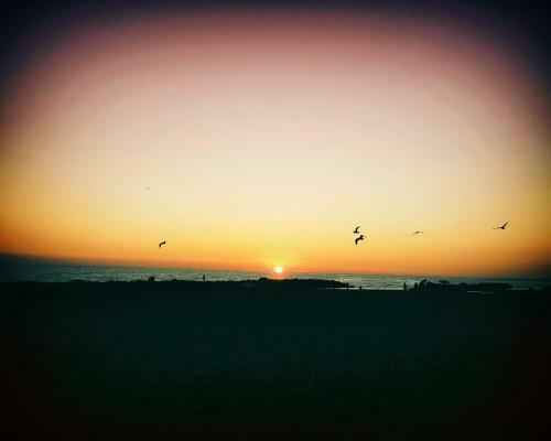 Bed & Breakfast Albachiara Guest House