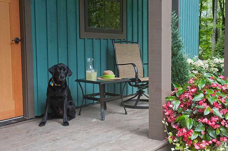 Hotel The Mountain Top Inn & Resort