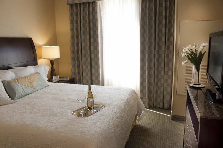 Hotel Hilton Garden Inn Dulles North
