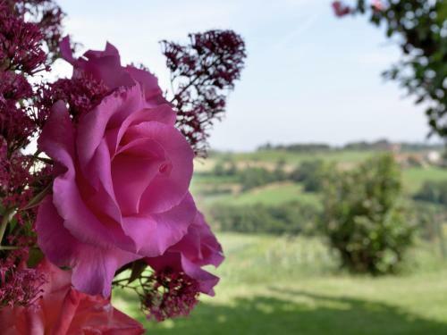 Scenic Home In Foiano Della Chiana With Terrace