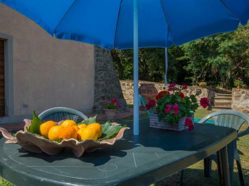 Apartamentos Locazione Turistica Il Ceppeto