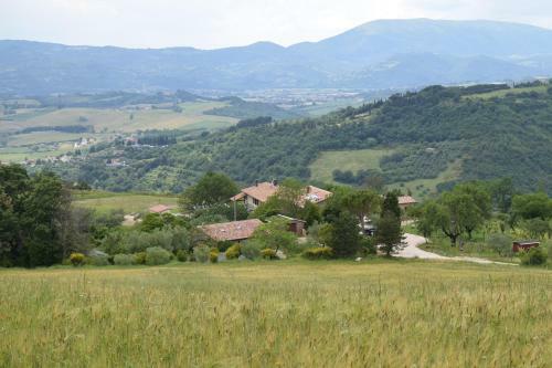 Bed & Breakfast Agriturismo Terra Selvatica