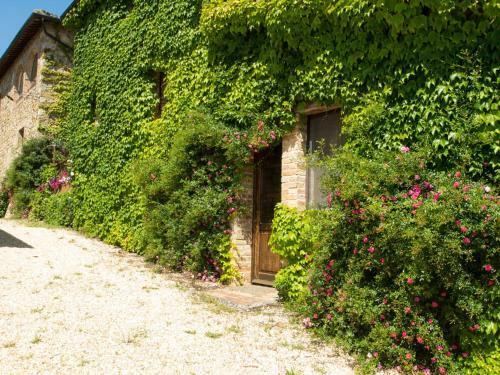Locazione Turistica Solitario