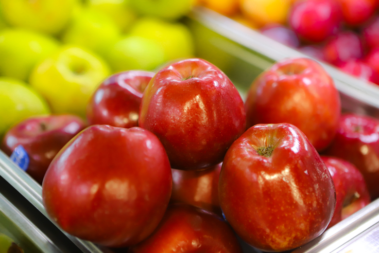 Hotel Panorama