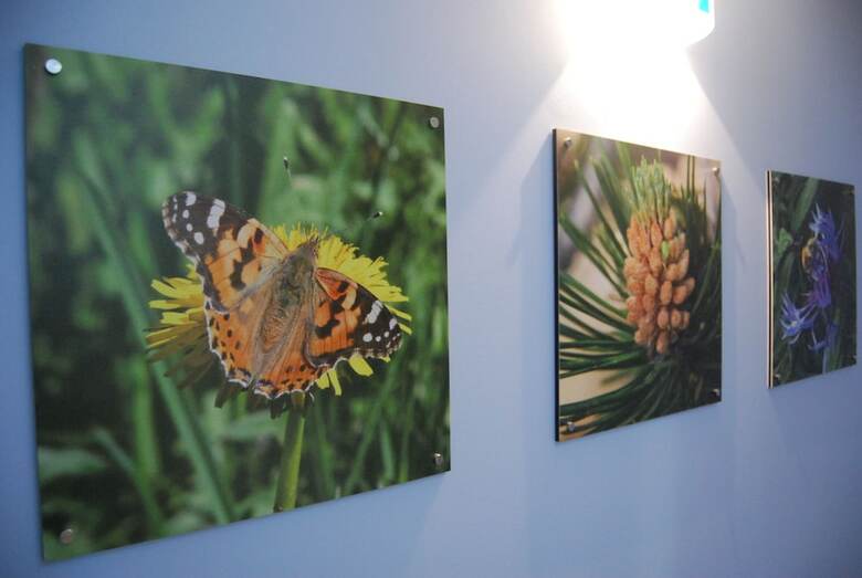 Apartamento Del Meligar