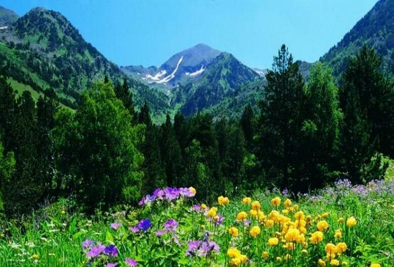 Hotel Del Pui By Nexta