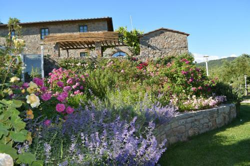 B&B Podere Il Colto
