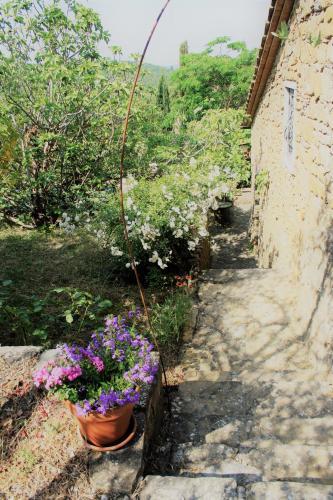 Il Fico In Chianti