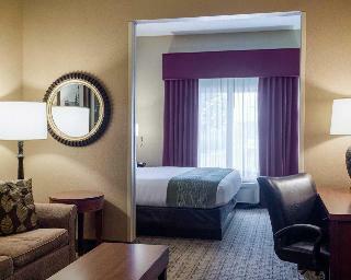 Hotel Comfort Suites Starkville