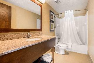 Hotel Comfort Inn Lathrop
