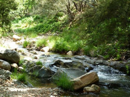 Bed & Breakfast El Capricho De Los Montes