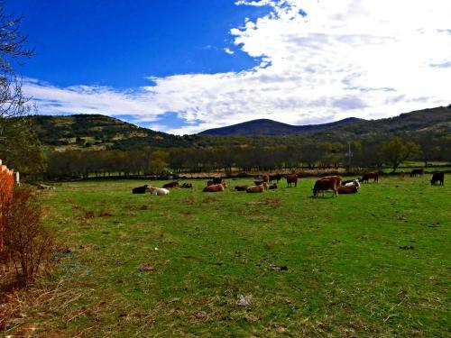 Bed & Breakfast El Capricho De Los Montes