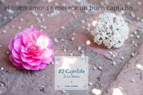 Bed & Breakfast El Capricho De Los Montes