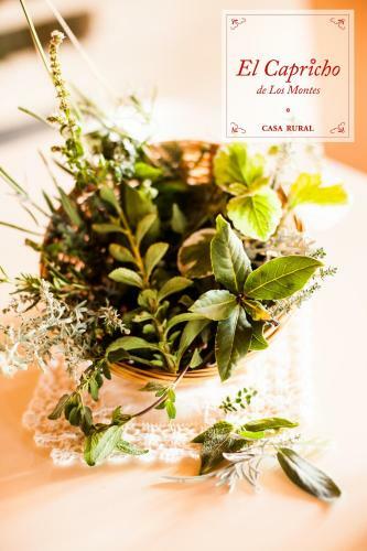 Bed & Breakfast El Capricho De Los Montes