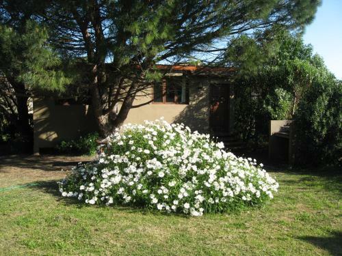 Lodge La Lucinda - Campo Y Mar
