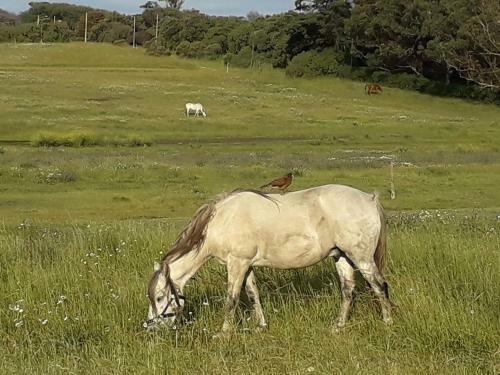 Lodge La Lucinda - Campo Y Mar