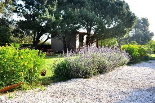 Lodge La Lucinda - Campo Y Mar