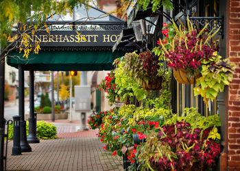 Blennerhassett Hotel
