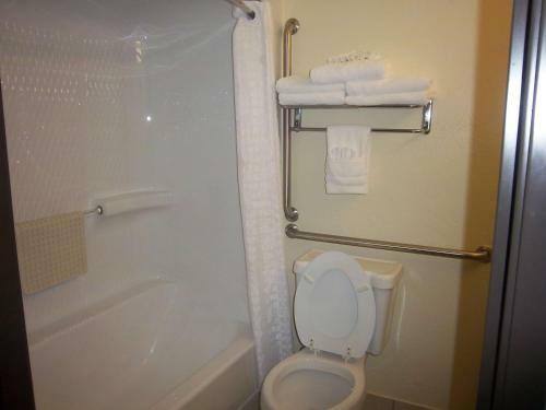 Hotel Best Western Greentree Inn & Suites