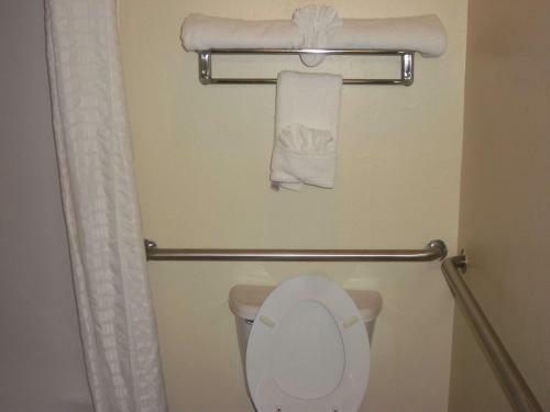 Hotel Best Western Greentree Inn & Suites